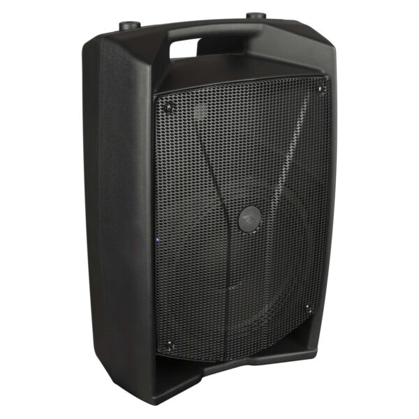 Diffusore a 2 vie amplificato con DSP