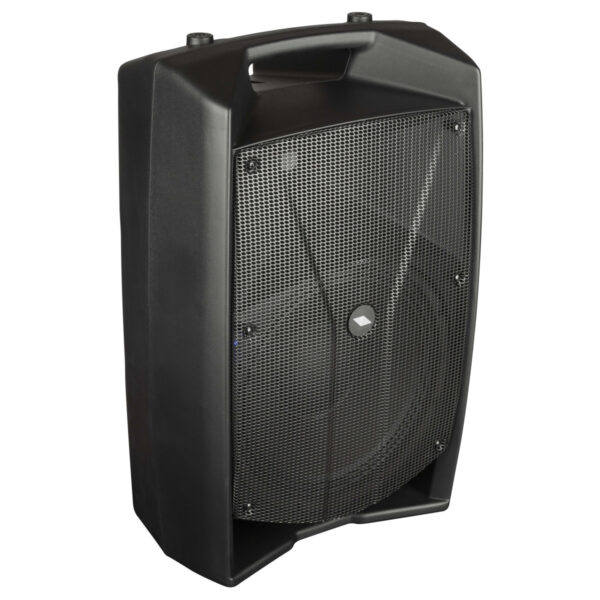 Diffusore a 2 vie amplificato con DSP