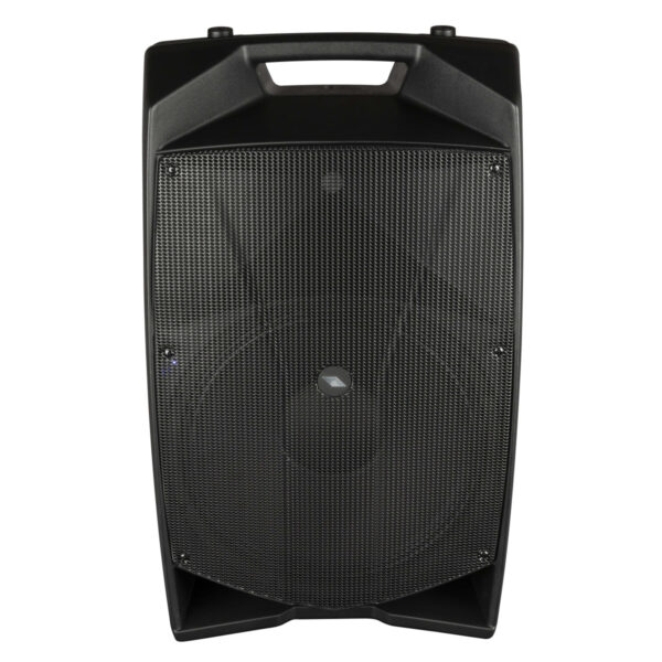 Diffusore a 2 vie amplificato con DSP - immagine 3