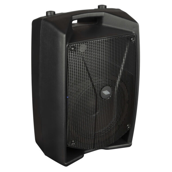 Diffusore a 2 vie amplificato con DSP